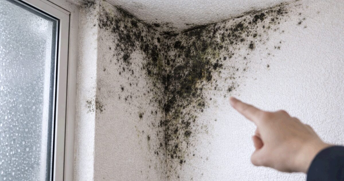 アイ工務店 カビ問題